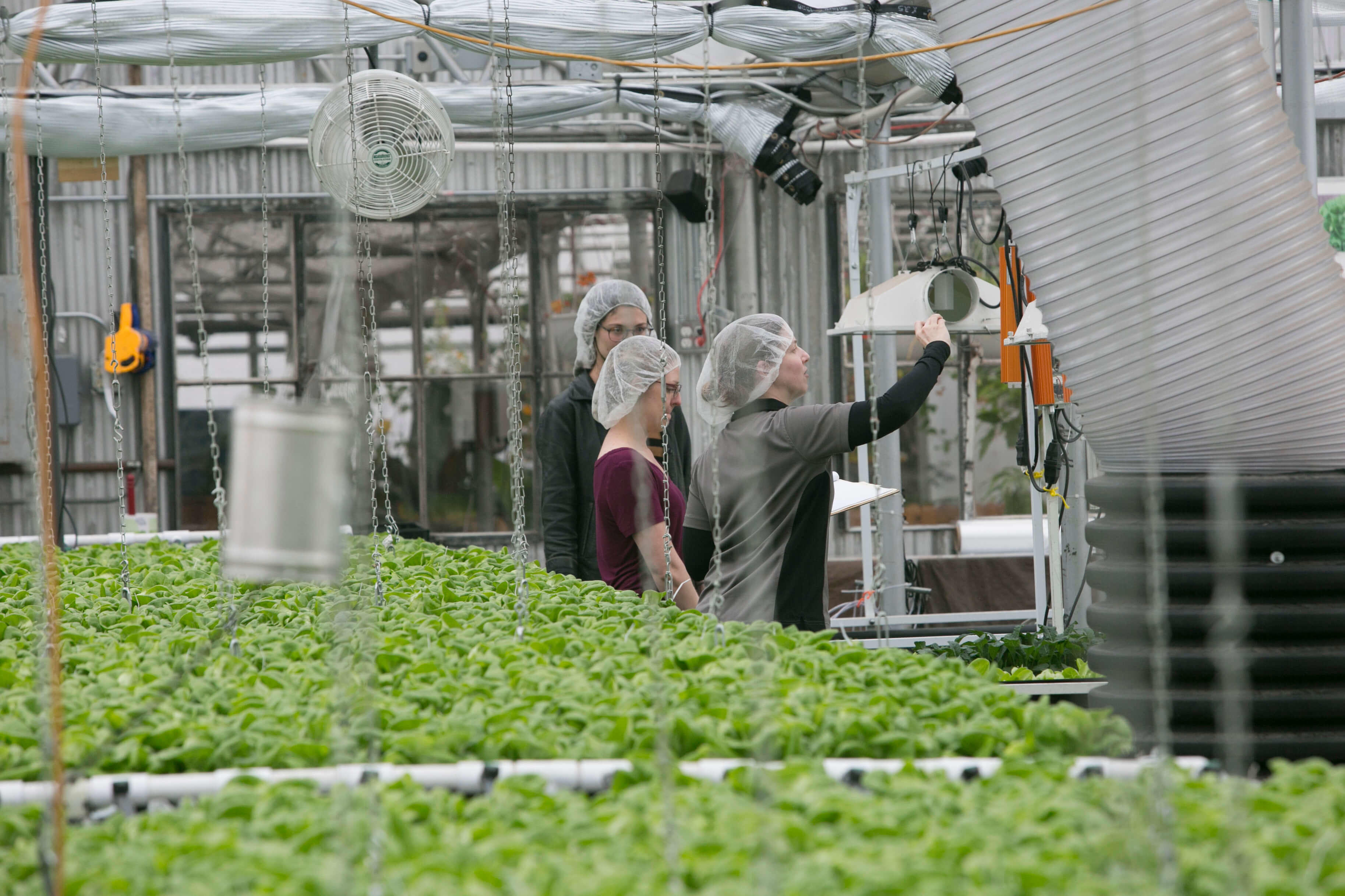 Agricultural Energy Efficiency