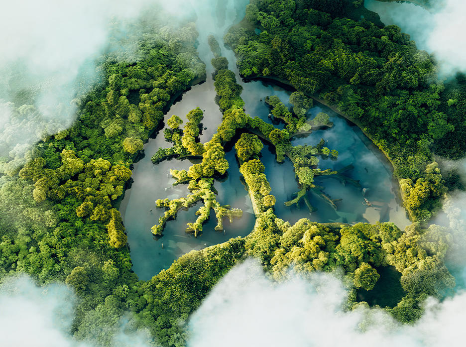 Aerial view of a winding river meandering through a dense tropical rainforest. The river creates natural patterns, almost like a branching tree, amidst the lush greenery. Pockets of fog or clouds gently rest on the canopy, adding a layer of mystery to the landscape. The water reflects the sky, giving the scene a tranquil atmosphere.