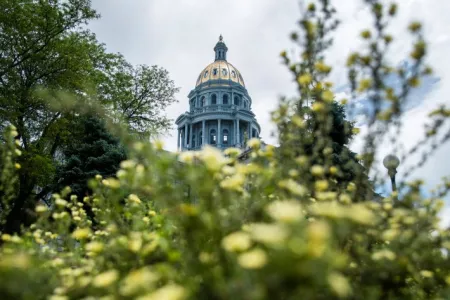 Colorado State Capitol shown with flowering bushes in the foreground with slightly overcast sky