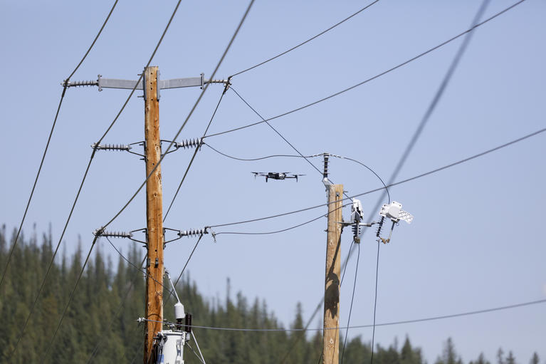 A drone monitors powerlines near an evergreen forest.